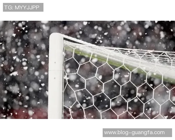 荷兰足协宣布因大雪天气推迟荷乙赛事荷甲比赛暂时不受影响继续进行